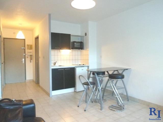 Appartement meublé 1 pièce 24 m²