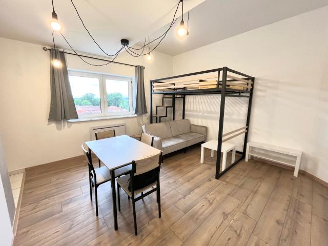 Appartement meublé 1 pièce 25 m²