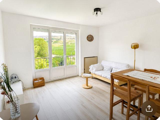 Appartement meublé 1 pièce 30 m²