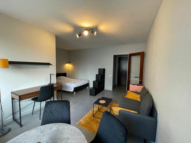 Appartement meublé 1 pièce 31 m²