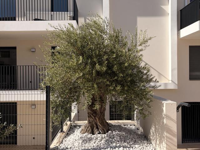 Appartement meublé 2 pièces 40 m²