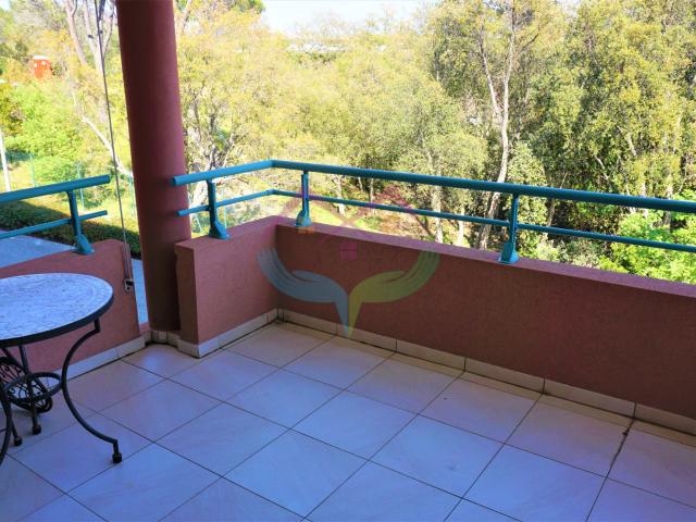 Appartement meublé 2 pièces 51 m²