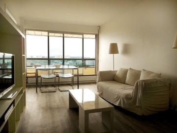 appartement meublé 55 m 2 2 pièces 1 chambre