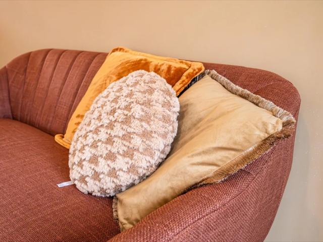 Appartement meublé Evertsenlaan, Terneuzen À louer