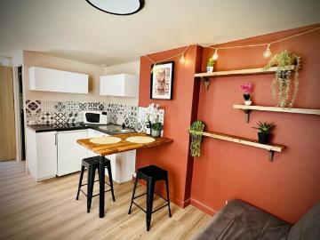 Appartement Meublé Nancy 1 pièce s 18.49 m2
