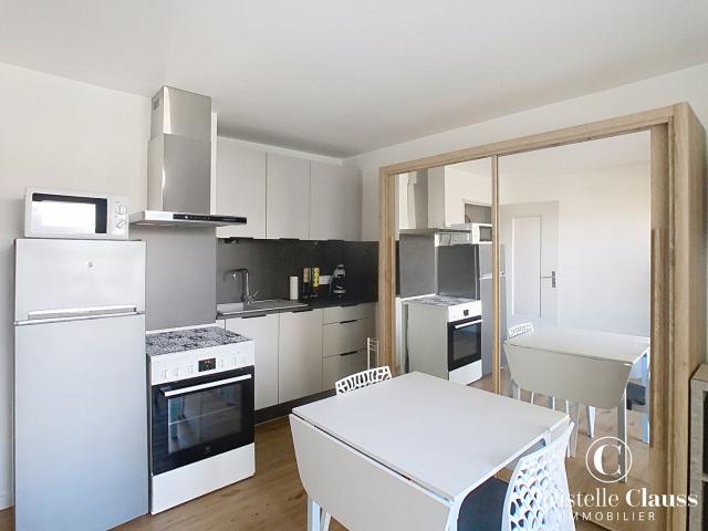 Appartement meublé Selestat 1 pièce s 23.85 m2