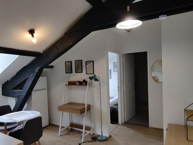 Appartement meublé rénové d'environ 20m2 Saint Etienne