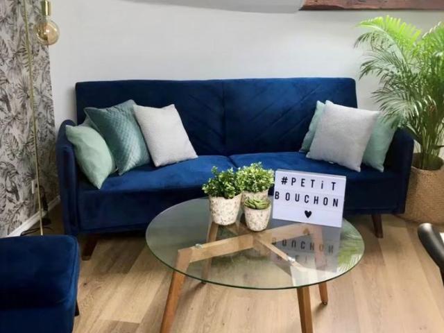 Appartement meublé rue Camille Lenoir
