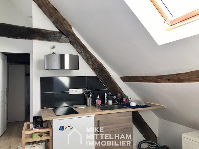 APPARTEMENT MEUBLÉE DANS MAISON DE MAÎTRE