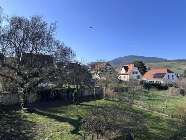 Appartement, Mittelbergheim