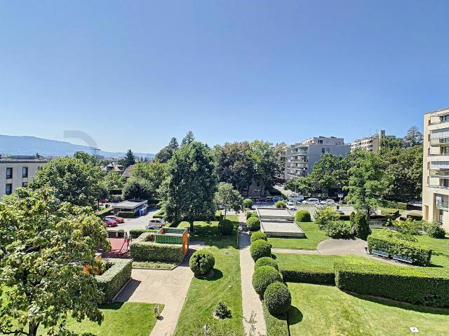 Appartement mit Terrasse