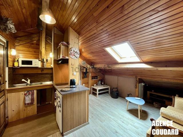 Appartement, Mont Dore