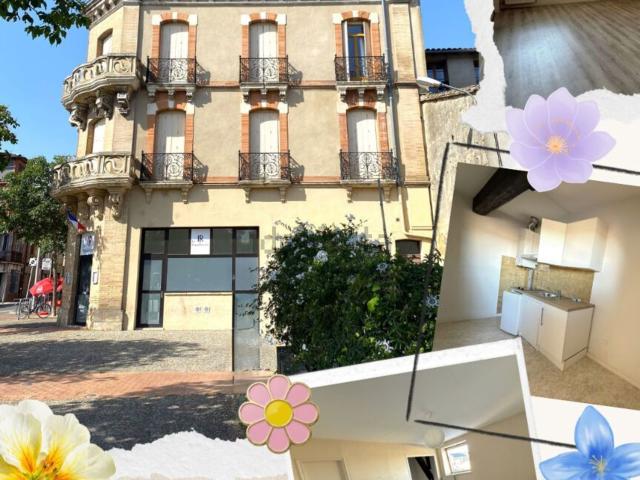 Appartement, Montauban