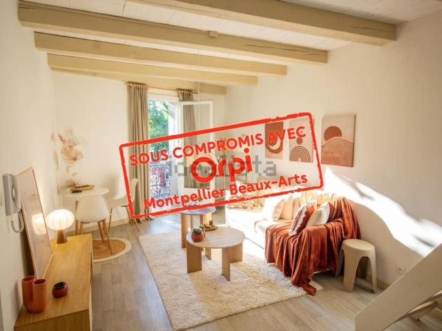 Appartement, Montpellier