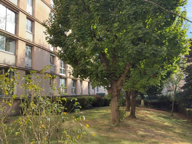 Appartement, Montrouge