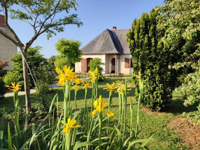 Appartement, Montreuil Bellay
