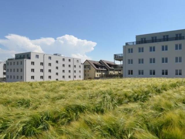 Appartement moderne à Niederwangen loyer sans caution !