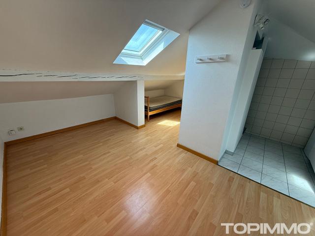 Appartement Mulhouse 1 pièce s 15 m2