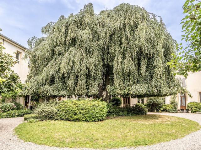 Appartement, Nancy