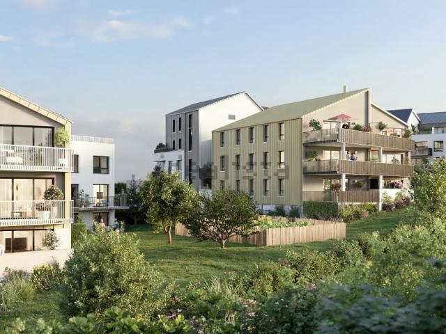 Appartement, Nancy