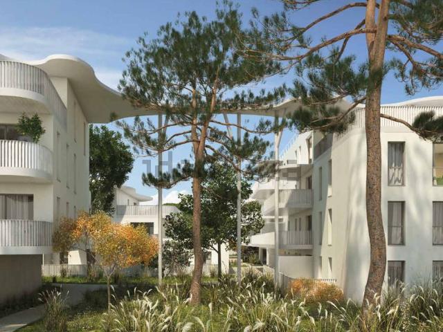 Appartement, Narbonne