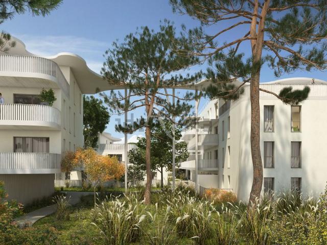 Appartement, Narbonne
