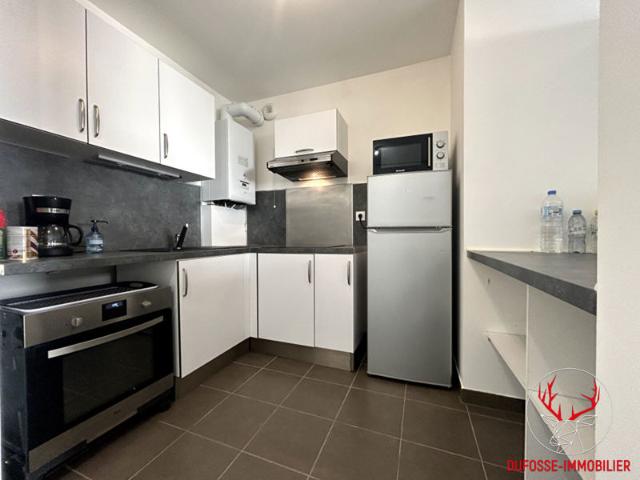 Appartement Neuville Sur Saone 2 pièce s 38 m2