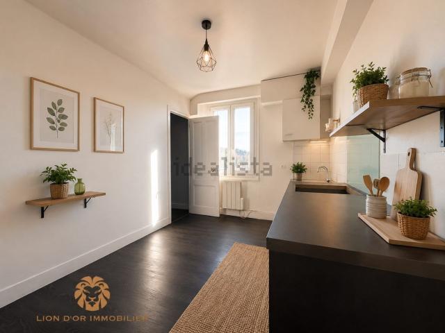 Appartement, Neuville sur Saône