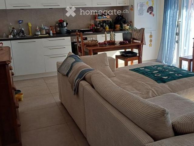 Appartement neuf à louer