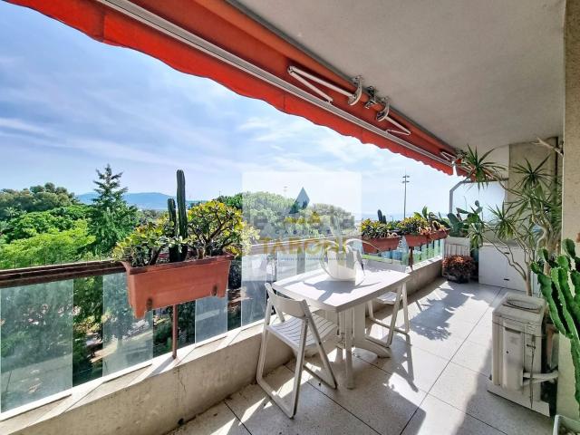 Appartement, Nice