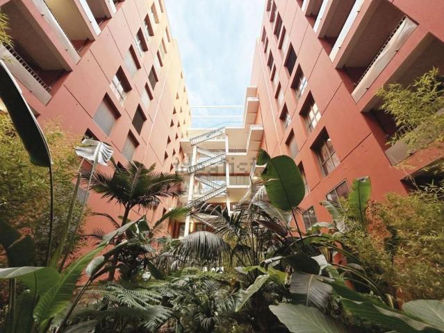 Appartement, Nice