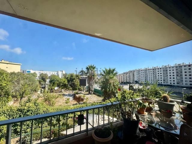 Appartement, Nice