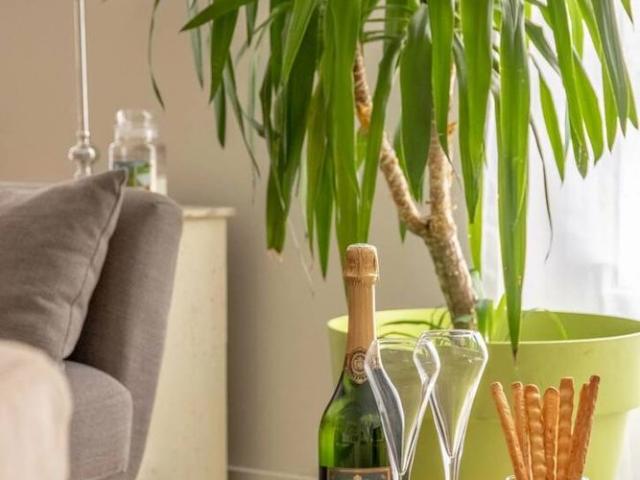 Appartement Nice 77,44 m²