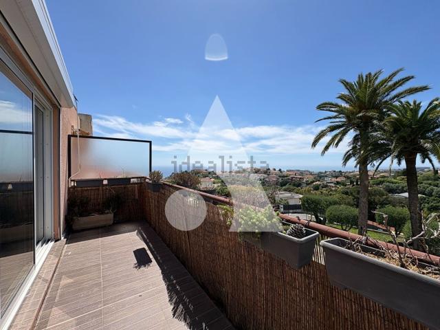 Appartement, Nice
