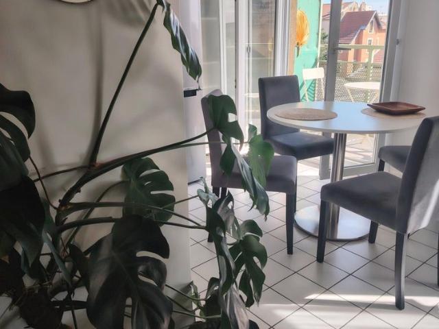 APPARTEMENT NON MEUBLE 42,96 m² 2 Pièces Villeurbanne 69100 Le bien en vidéo