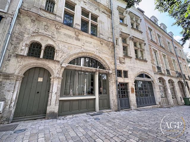 Appartement, Orléans