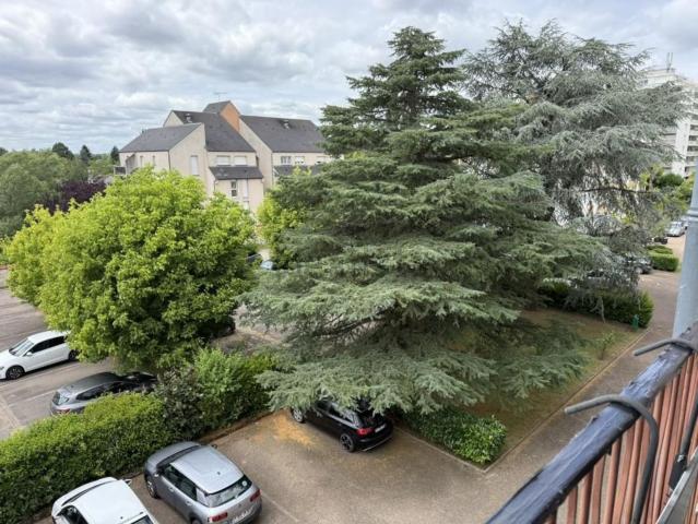 Appartement, Orléans