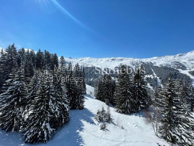 Appartement Ours Brun Havre alpin à deux pas des pistes