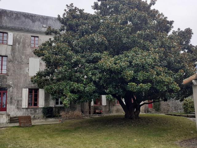 Appartement, Parthenay
