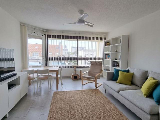 Appartement, Pau