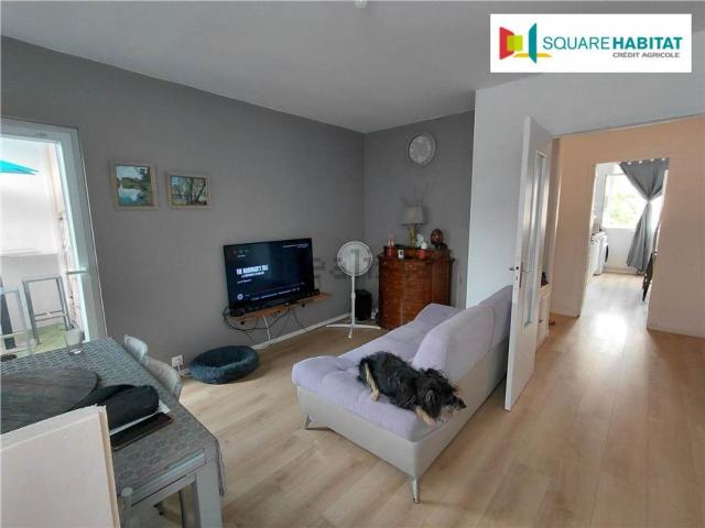 Appartement, Pau