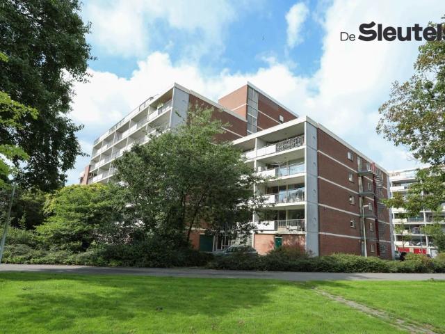 Appartement Pelmolen 38, Leyde À Louer