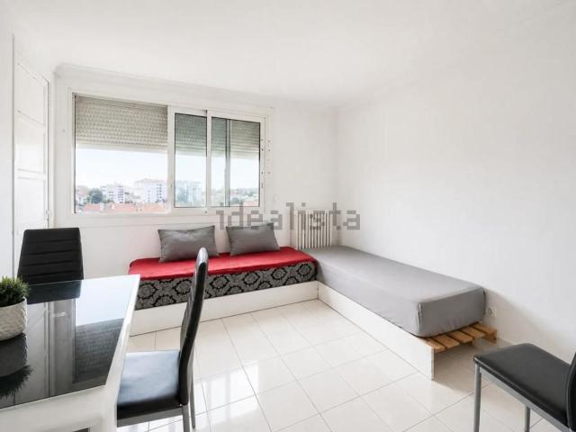 Appartement, Perpignan