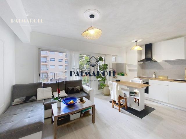 Appartement, Perpignan