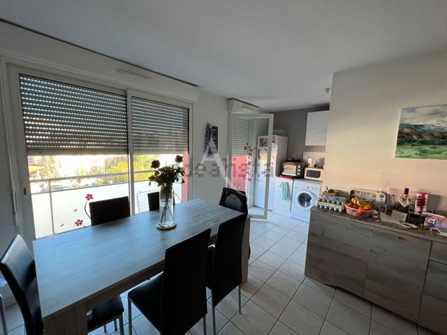 Appartement, Perpignan