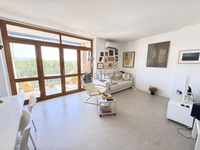 Appartement, Perpignan