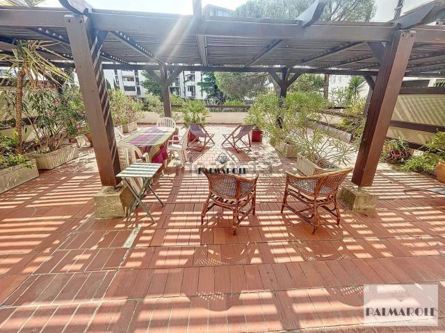 Appartement, Perpignan