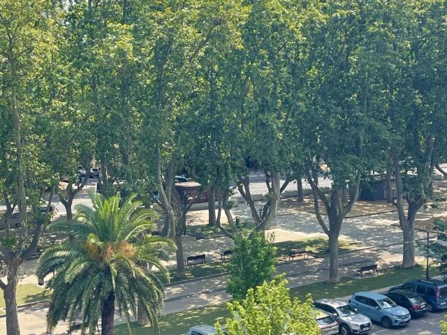 Appartement, Perpignan