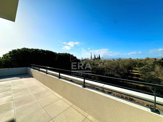 Appartement, Perpignan