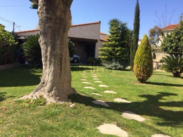 Appartement, Perpignan